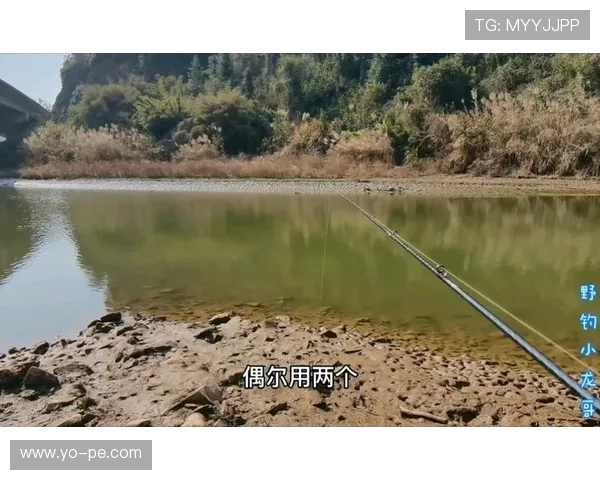 璁搁挓璞搧灞遍潬鑷翠簹娲茬涓€鍚庡崼鎶ラ攢锛孋BA 鎭舵眽鍐嶅紩鍥介檯浜夎